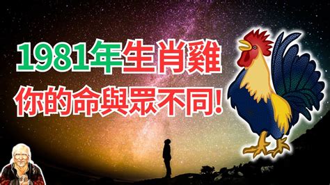 1981屬雞2024運勢|2024年屬雞的運勢和財運1981年 2024年生肖雞1981年。